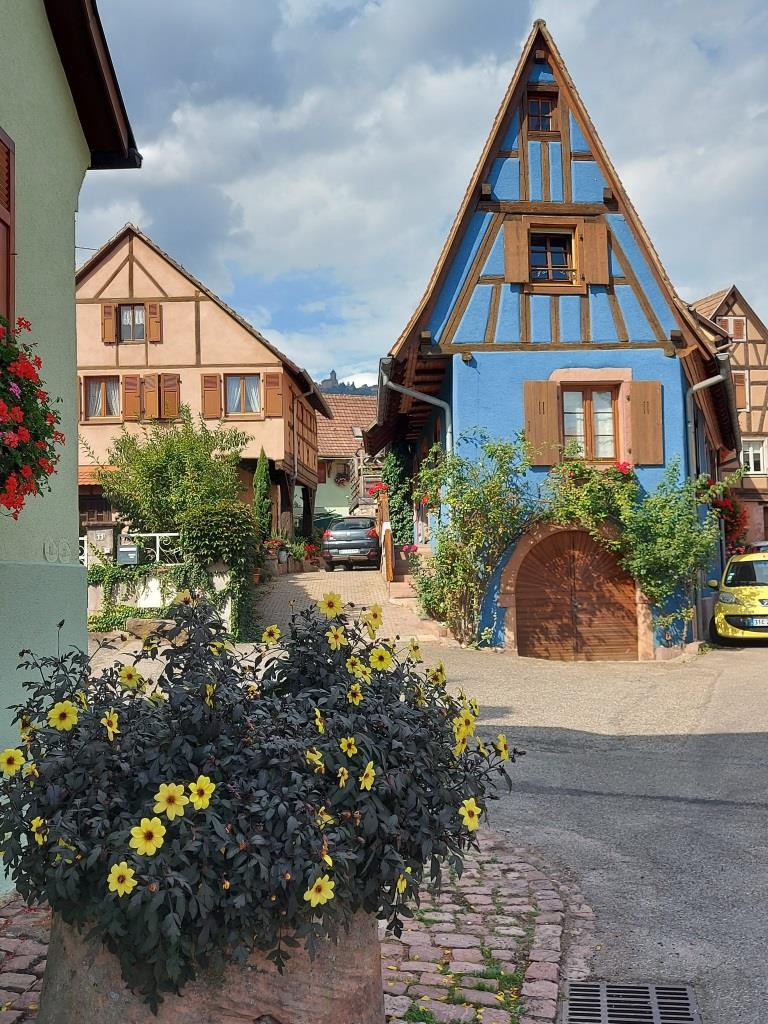 Saint Hippolyte - 2020